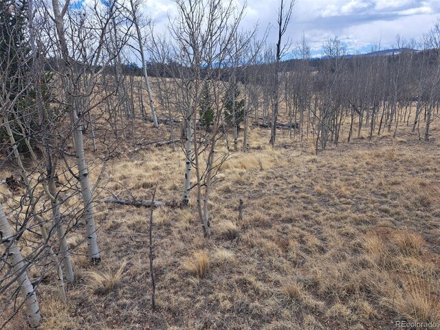 499 Kiowa St, Como, CO 80432