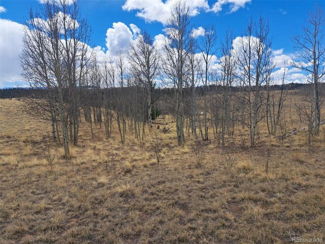 499 Kiowa St, Como, CO 80432