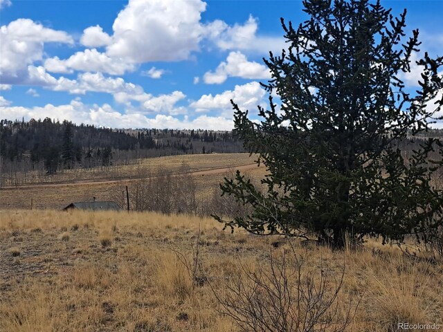 499 Kiowa St, Como, CO 80432