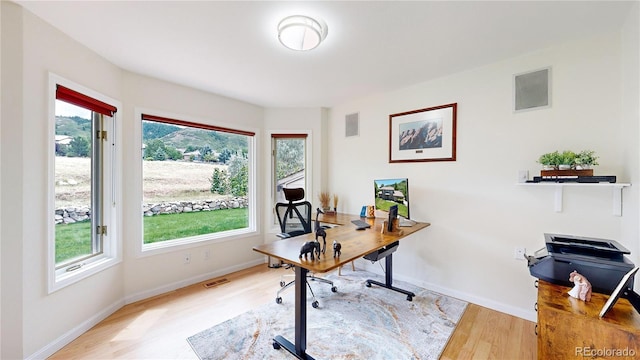 10886 Pheasant Run, Littleton, CO 80125 - office space with wood finished floors, plenty of natural light, and baseboards