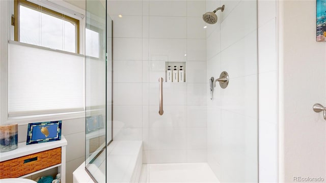 10886 Pheasant Run, Littleton, CO 80125 - full bathroom featuring a stall shower