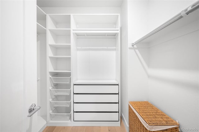 walk in closet featuring light wood-style flooring