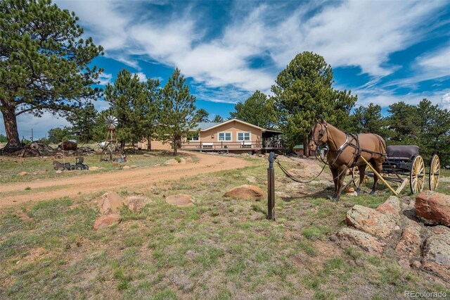 2134 Homestake Pl, Florissant, CO 80816 - photo 5