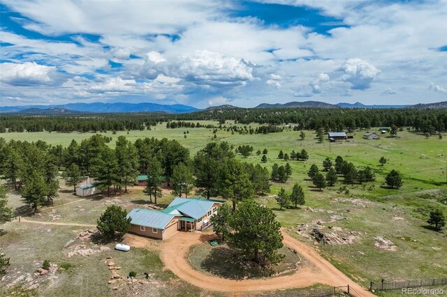 2134 Homestake Pl, Florissant, CO 80816 - photo 7