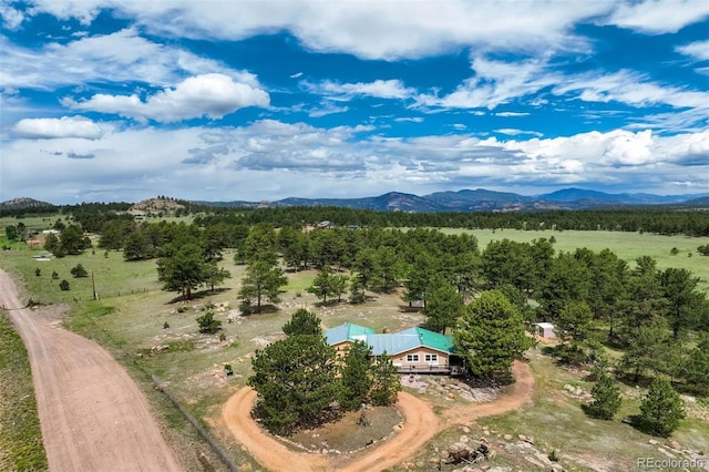 2134 Homestake Pl, Florissant, CO 80816 - photo 8