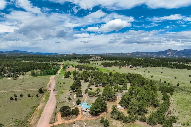 2134 Homestake Pl, Florissant, CO 80816 - photo 9