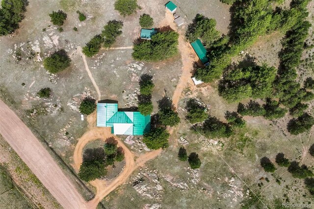 2134 Homestake Pl, Florissant, CO 80816 - photo 10