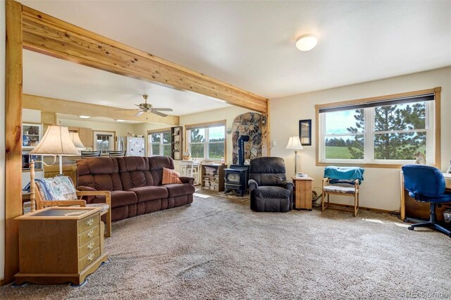 2134 Homestake Pl, Florissant, CO 80816 - photo 13