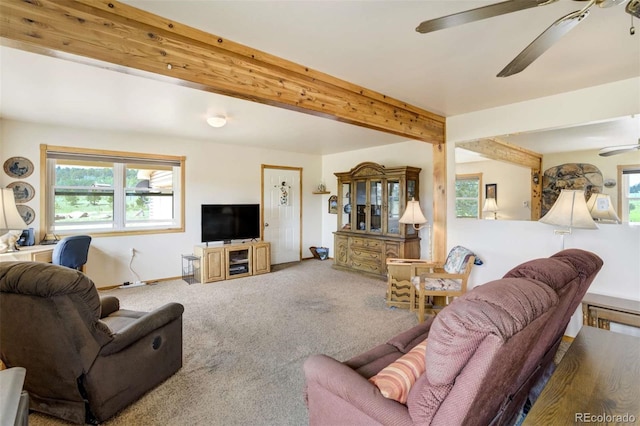 2134 Homestake Pl, Florissant, CO 80816 - photo 14