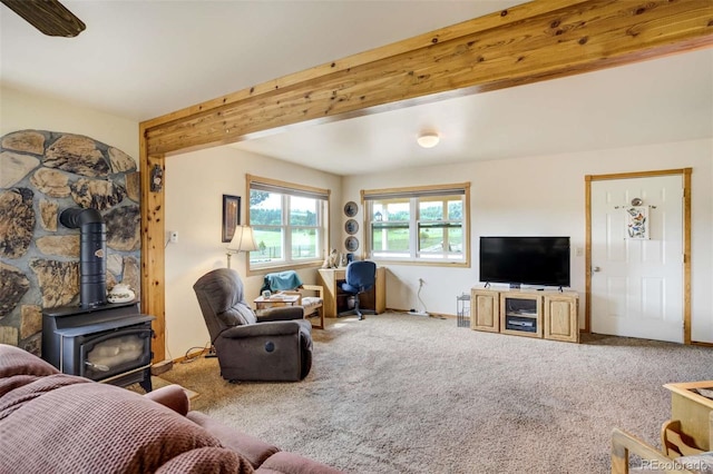 2134 Homestake Pl, Florissant, CO 80816 - photo 15
