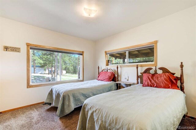 2134 Homestake Pl, Florissant, CO 80816 - photo 21