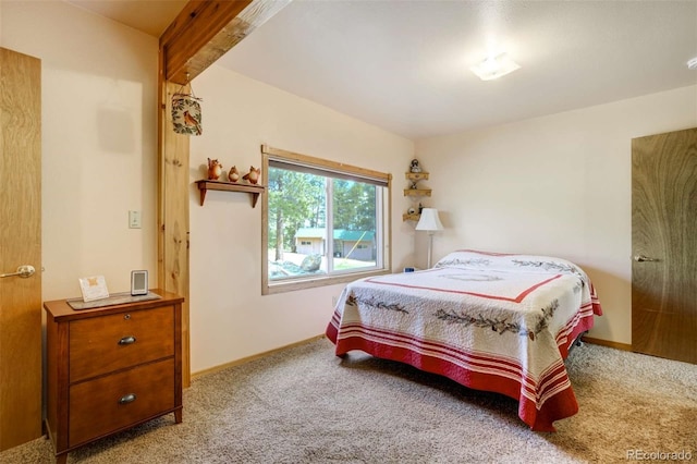 2134 Homestake Pl, Florissant, CO 80816 - photo 23
