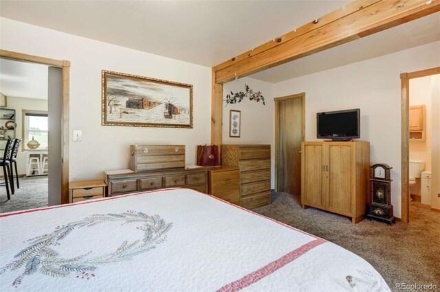 2134 Homestake Pl, Florissant, CO 80816 - photo 24