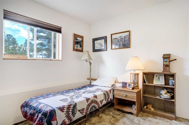 2134 Homestake Pl, Florissant, CO 80816 - photo 28