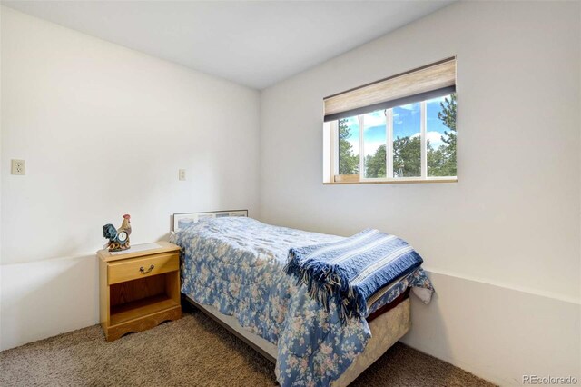 2134 Homestake Pl, Florissant, CO 80816 - photo 30