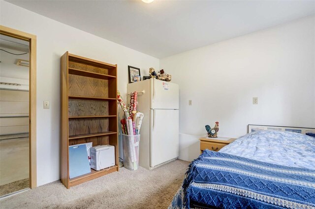 2134 Homestake Pl, Florissant, CO 80816 - photo 31
