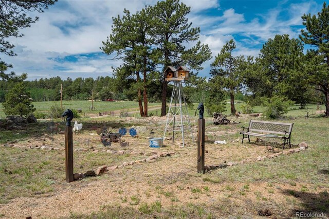 2134 Homestake Pl, Florissant, CO 80816 - photo 40