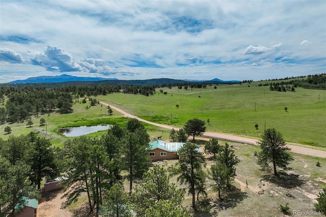 2134 Homestake Pl, Florissant, CO 80816 - photo 42