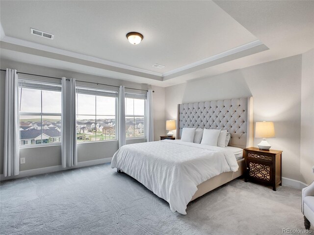 bedroom featuring a tray ceiling, carpet floors, and baseboards