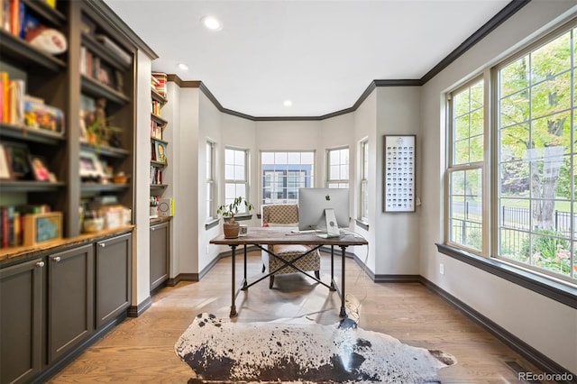 office space featuring light hardwood / wood-style floors and ornamental molding