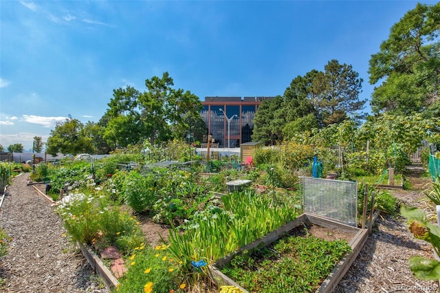 14001 E Marina Dr Unit 606, Aurora, CO 80014 - view of yard featuring a garden and a sunroom