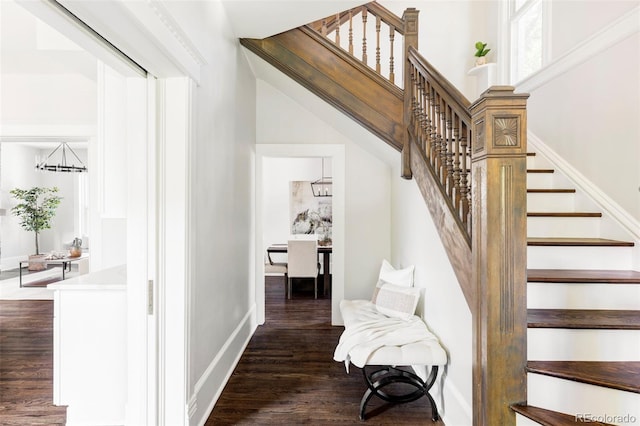 staircase with wood-type flooring