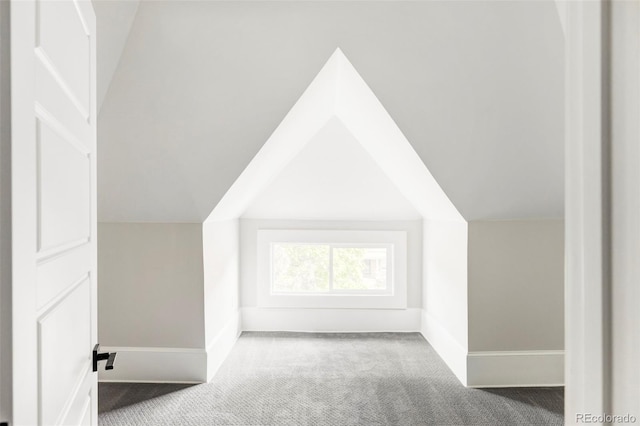 additional living space with carpet floors and lofted ceiling