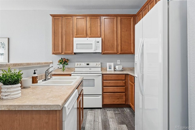kitchen featuring brown cabinetry, white appliances, a sink, and wood finished floors