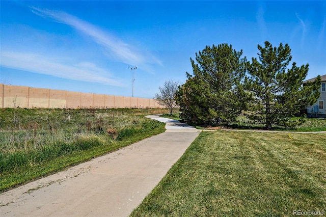 view of community with a yard