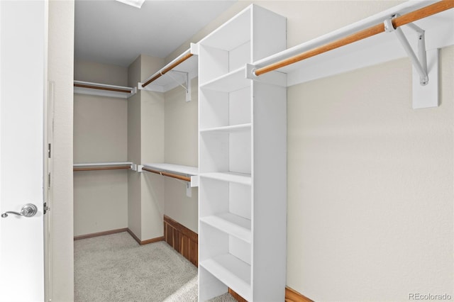 walk in closet with light colored carpet