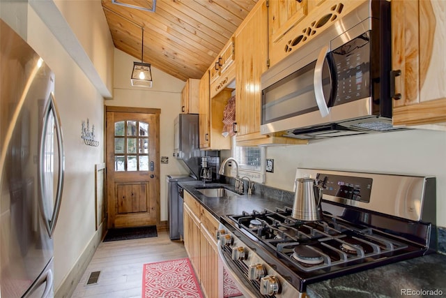 kitchen featuring stainless steel appliances, vaulted ceiling, a wealth of natural light, and sink