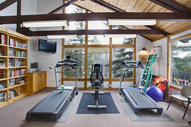 workout room featuring a wealth of natural light, carpet, wood ceiling, and high vaulted ceiling