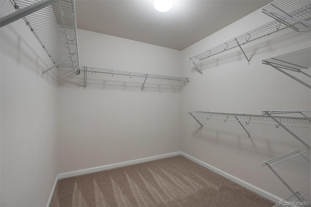 7665 Grady Cir, Castle Rock, CO 80108 - walk in closet featuring carpet