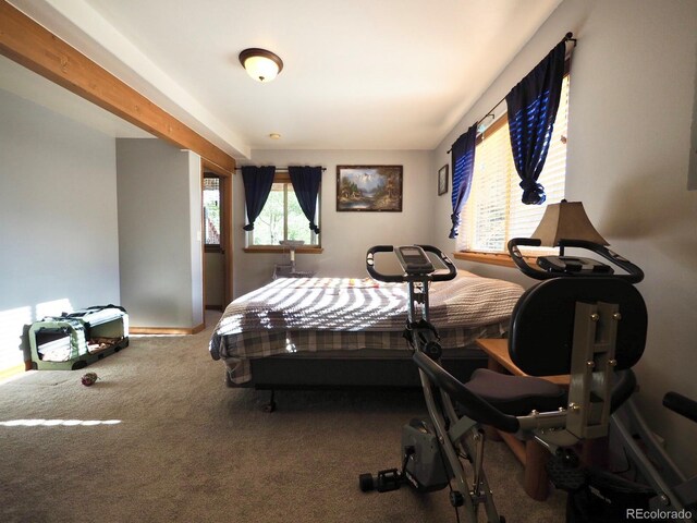 bedroom featuring carpet flooring