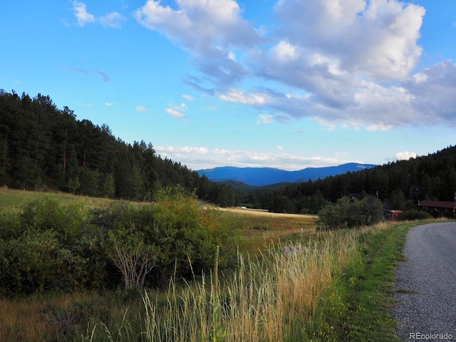 view of mountain feature with a view of trees