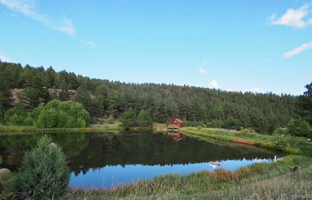 view of water feature featuring a view of trees