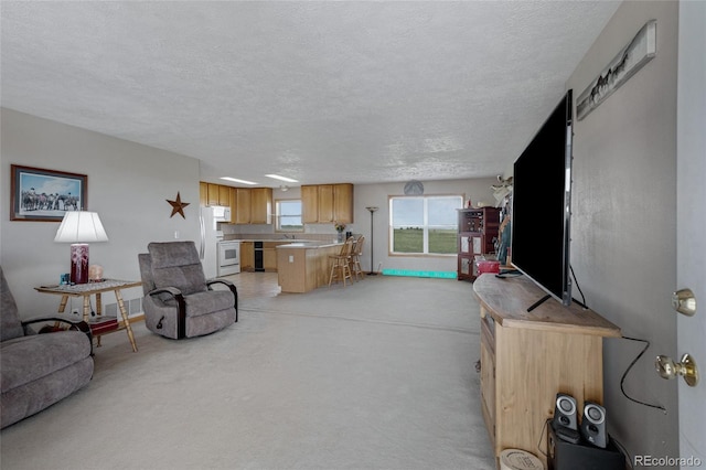 living area featuring a textured ceiling and light carpet