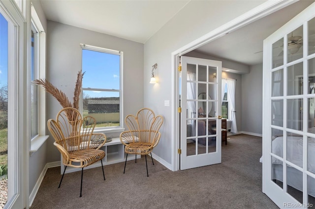 33 River Downs, Colorado City, CO 81019 - photo 13