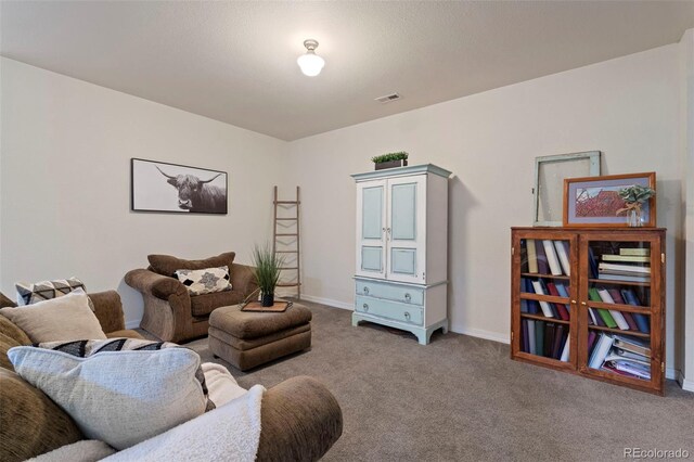 33 River Downs, Colorado City, CO 81019 - photo 22