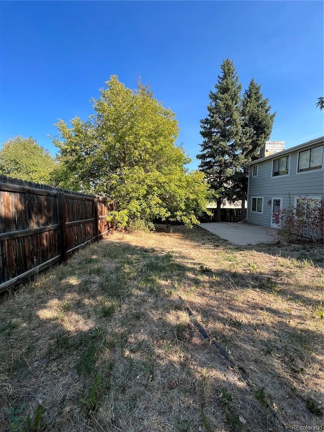 view of yard featuring a patio