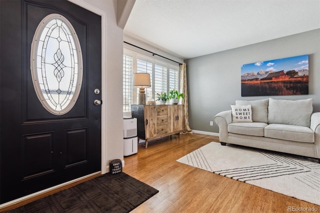 entrance foyer with hardwood / wood-style flooring