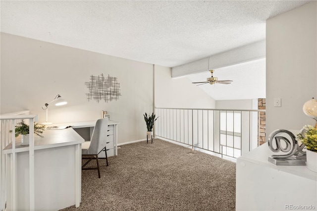 6664 S Webster St, Littleton, CO 80123 - photo 17