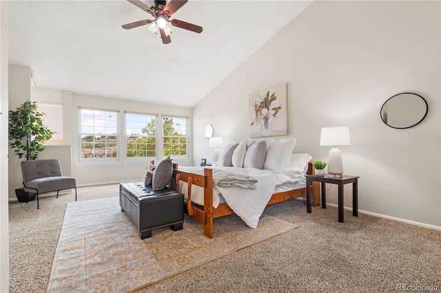6664 S Webster St, Littleton, CO 80123 - photo 19