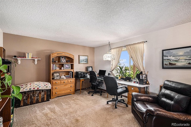 34181 Columbine Trl, Elizabeth, CO 80107 - carpeted home office with a textured ceiling