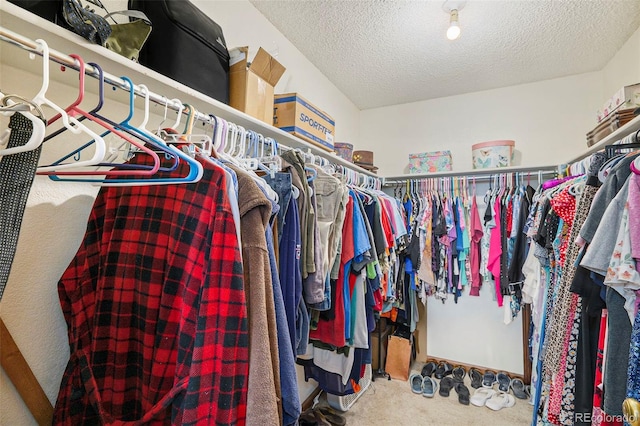 34181 Columbine Trl, Elizabeth, CO 80107 - spacious closet with carpet floors