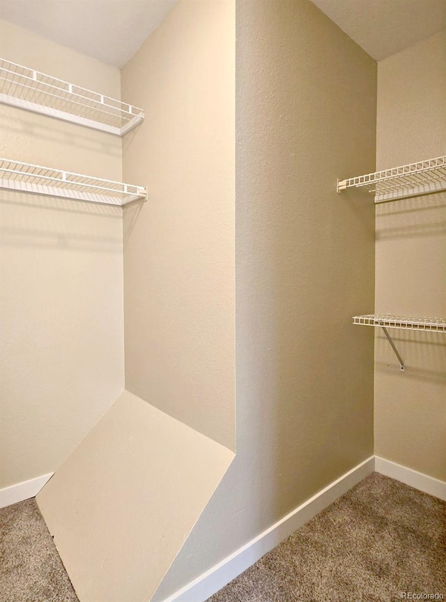 spacious closet with carpet flooring