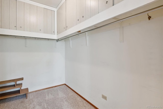 walk in closet featuring carpet flooring