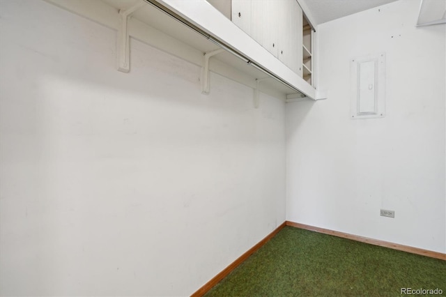 walk in closet with electric panel and carpet floors