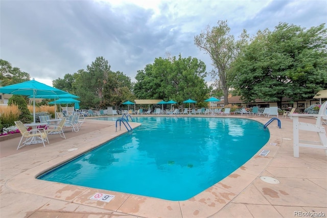 view of swimming pool with a patio area