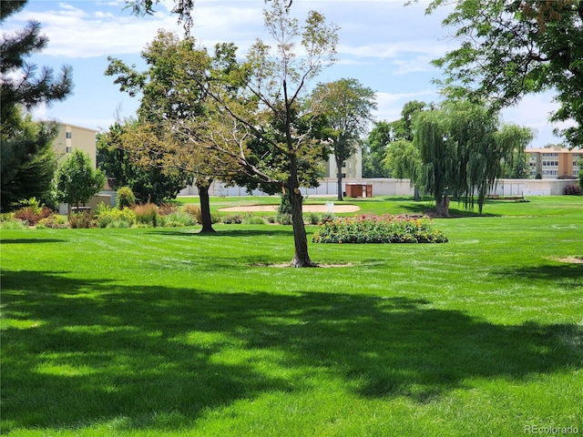 view of community with a lawn